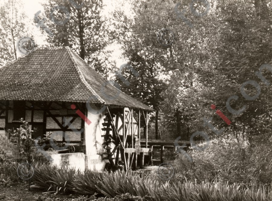 Kalkumer Mühle - Foto foticon-duesseldorf-0062.jpg | foticon.de - Bilddatenbank für Motive aus Geschichte und Kultur